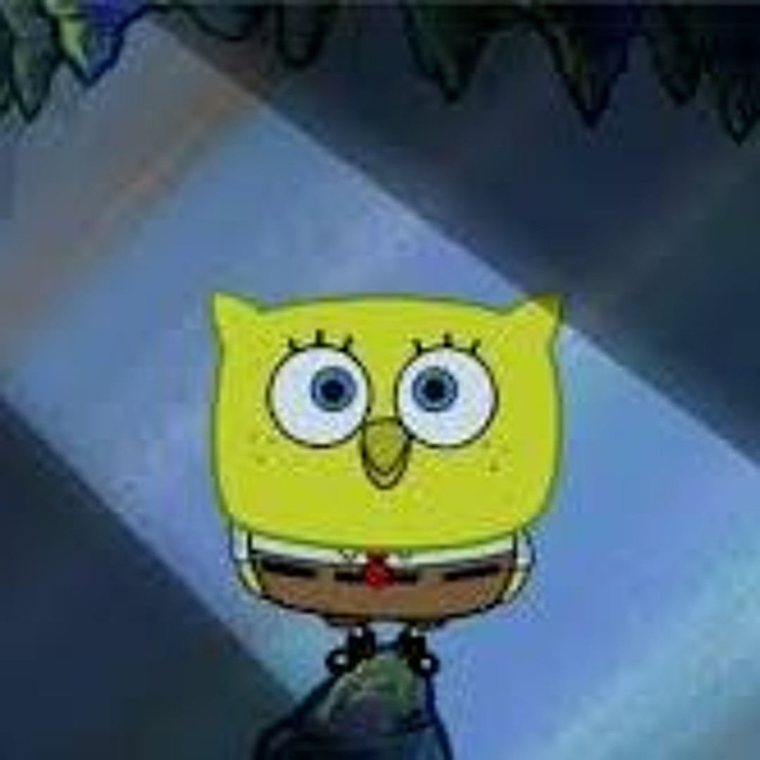 Stream SpongeBob Who Am I Song :D by slaviboy | Listen online for free on  SoundCloud