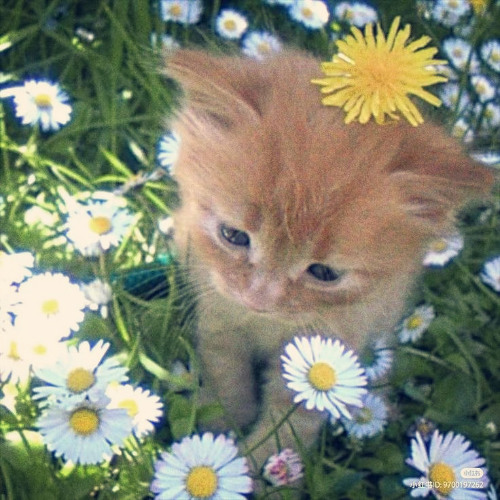 WHEN THE SUMMER COMES PROD MANDEM & DEFYER