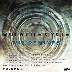 Volatile Cycle - Is What It Is [Leon Switch 174 Amen Remix] DC047