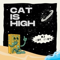 Cat Is High