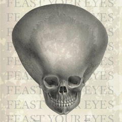 FEAST YOUR EYES