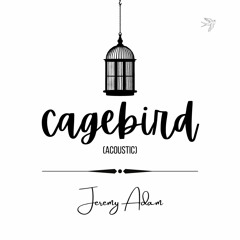 Cagebird (acoustic)