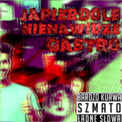 NIENAWIDZE PRACOWAC W GASTRO (Prod. The B Brothers)