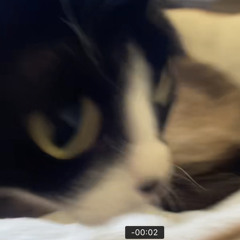 meowmix