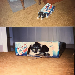 calendar year - ...so goes my life