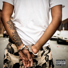 Made in Amerikkka (Official Audio)