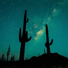 DESERT ROCK