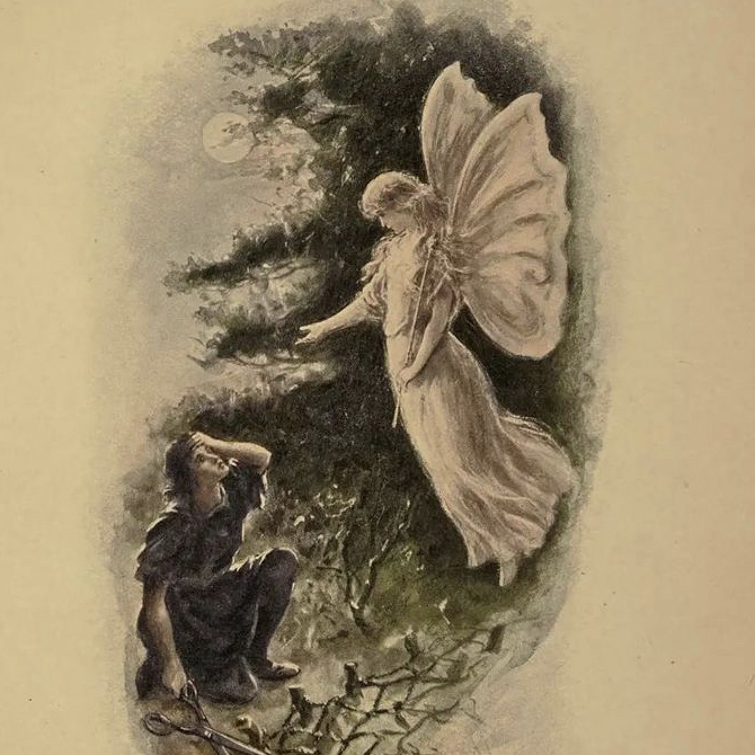 dreamland in the desert