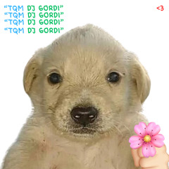 tqm dj gordi <3