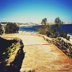 constellation (vol.4)