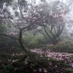 Não consigo escrever