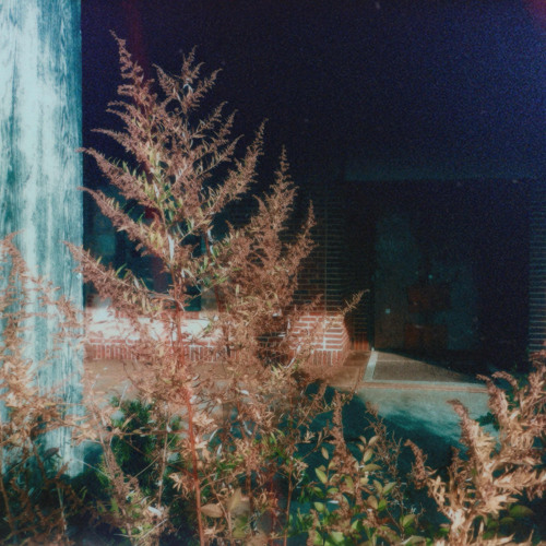 blame me {prod. caves x pekarot}