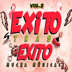 ExitoTrasExito - Pack Vol.2 (Dj Salva Garcia & Alex Melero 2020) Preview