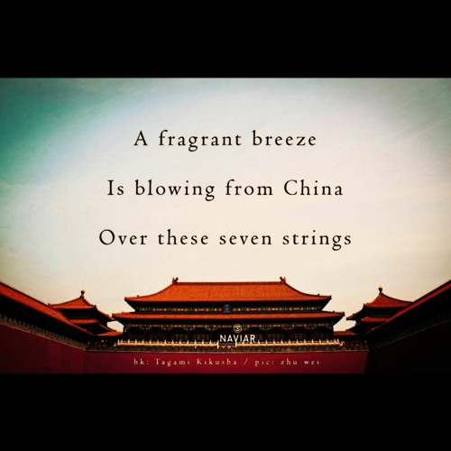 White snow variations [naviarhaiku341]