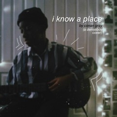 i know a place - conan gray (cover)