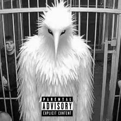 kezzy✷ -opuim freestyle