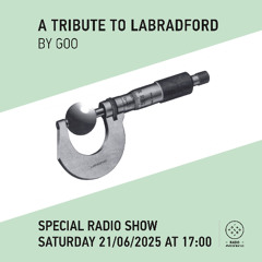 A Tribute to Labradford by Goo