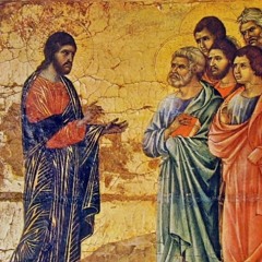 Homily For The 27th Sunday In Ordinary Time