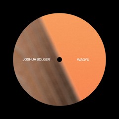 PREMIERE: Joshua Bolger – Wagyu