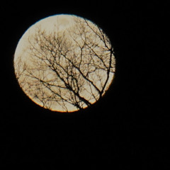 Complicated  (words and music by Dave McDonald)