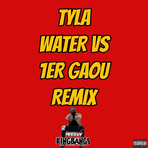 Tyla Water vs Premier Gaou Remix