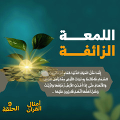 أمثال القرآن 09 | اللمعة الزائفة | د. رامي النحراوي