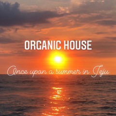 Organic House | Once upon a Summer in Jeju