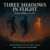 Artwork for Three Shadows in Flight (1) # RnB Afrobeat Jazz Fusion