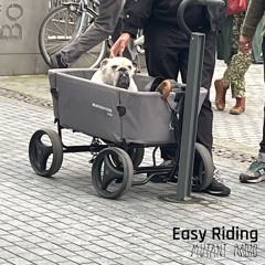 Easy Riding [20.01.25]