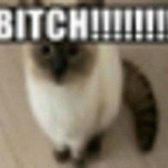 BITCH!!!!!!!!!!!!!!!!!!