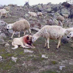 It's all good I'm numb for now