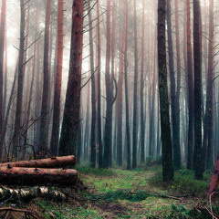 Dj.BITT@-Deep Progressive #1