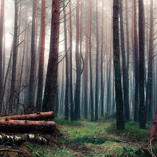 Dj.BITT@-Deep Progressive #1