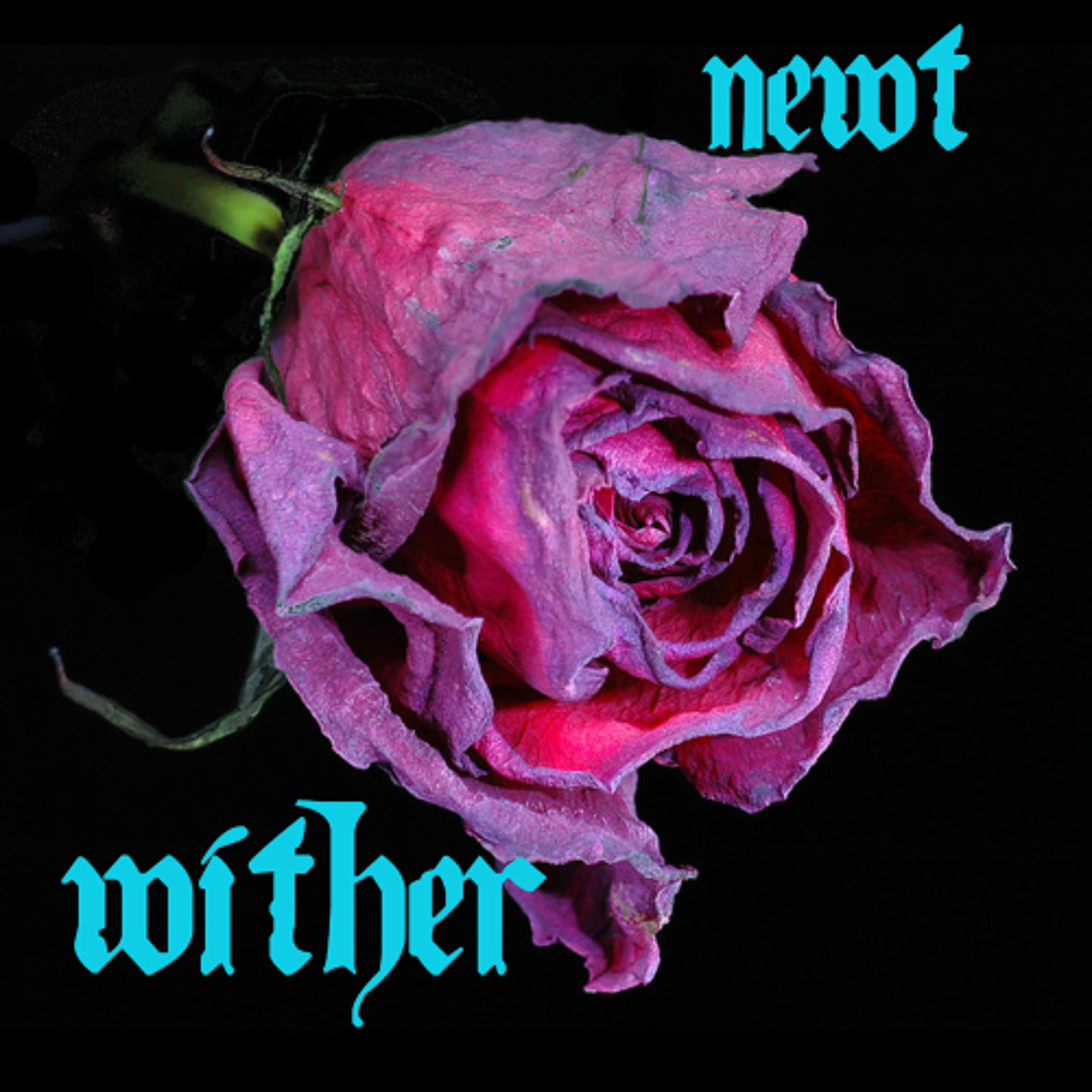 Newt - Wither episode artwork