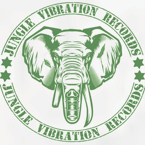 Default - War You Want (Jungle Vibration Records) [Purchase Vinyl From Link)