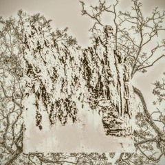 Country (porches cover)