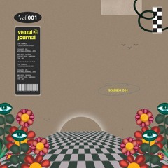 Visual Journal 001