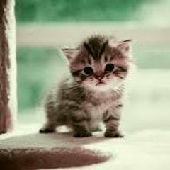 I Don't Wanna Live W - Out Your Love