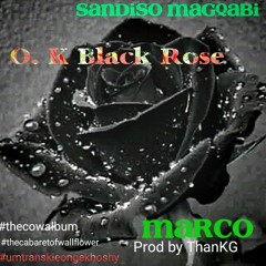OK_black-rose