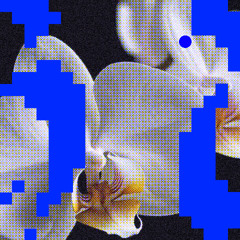 Premiere: Matthias Meyer - Home [Flores]