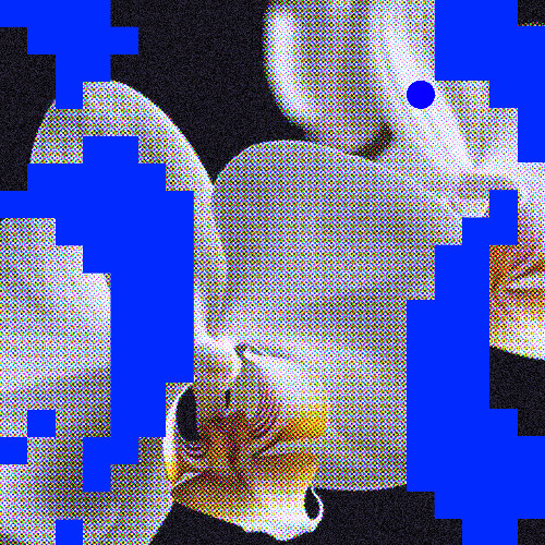 Premiere: Matthias Meyer - Home [Flores]