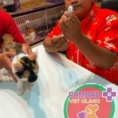 0817-273-670 Dokter Hewan Serpong Utara Tangerang Selatan, Rambad Vet Clinic