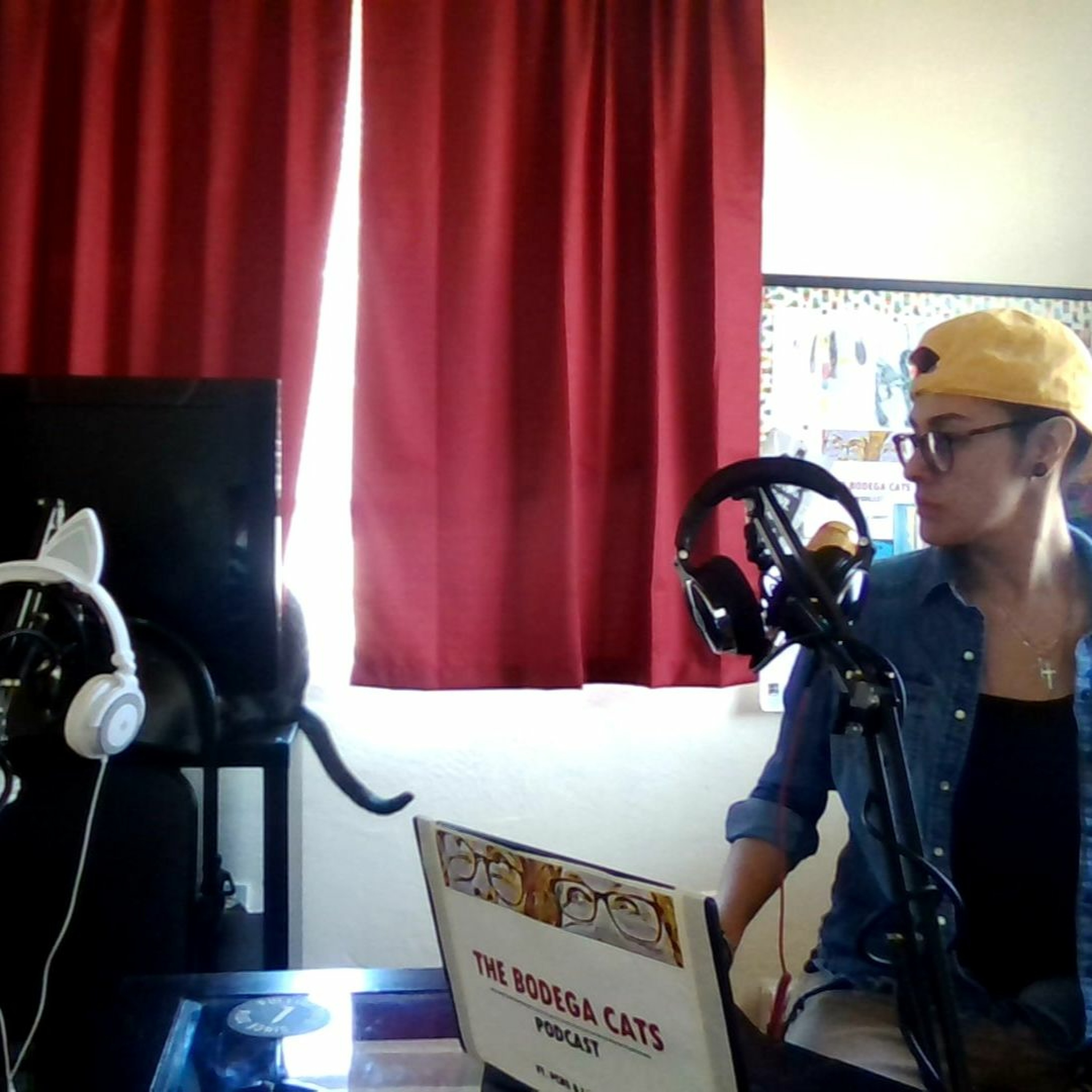 The Bodega Cats Podcast