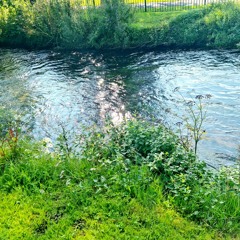 Medative gentle flow.m4a