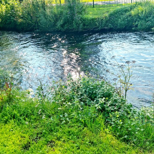 Medative gentle flow.m4a
