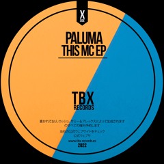 Paluma - WTF (Original Mix)