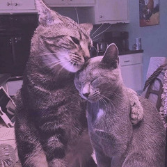 ‎⁨ أنا ما استغني⁩– أحلام