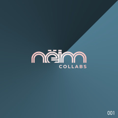 [NeimColl001] Erika Mena vs The Midnight Perverts - Prawn´s groove (Original mix)