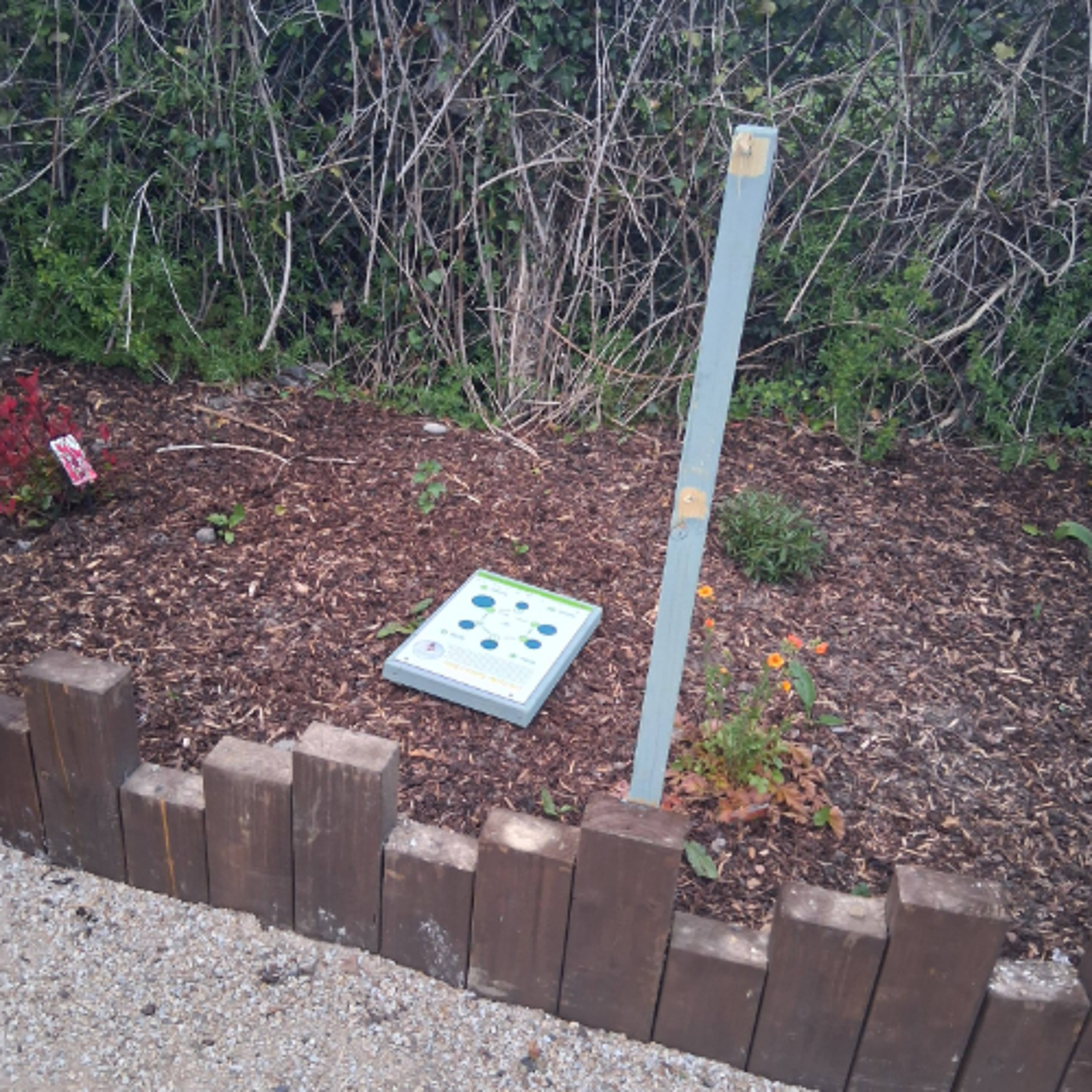 The KCLR Daily: Tullow Men's Shed hit out at recent vandalism (28th April 2026) episode artwork