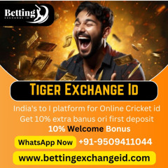 Top Tiger Exchange ID Provider for Secure and Fast Access